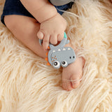 Baby Dinosaur | Buy Silicone Teethers and Teethers + Clips for Babies from bünky