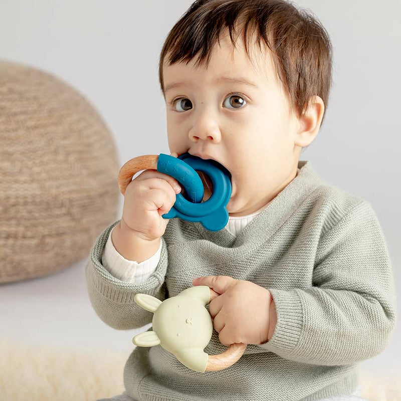 Bear Teether || Kole | Buy Silicone + Wood Teethers and Teethers + Clips for Babies from bünky